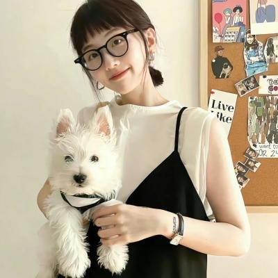 大师之疯狂假日